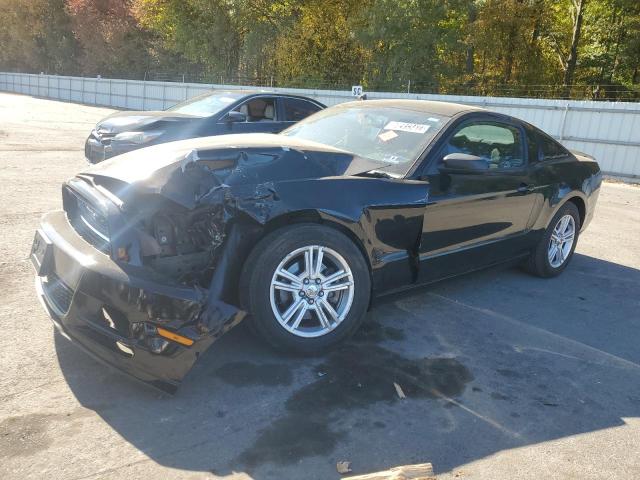 ford mustang 2013 1zvbp8am6d5240664