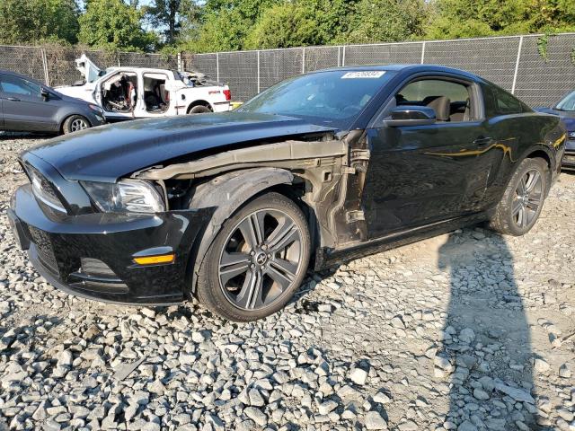 ford mustang 2014 1zvbp8am6e5254209