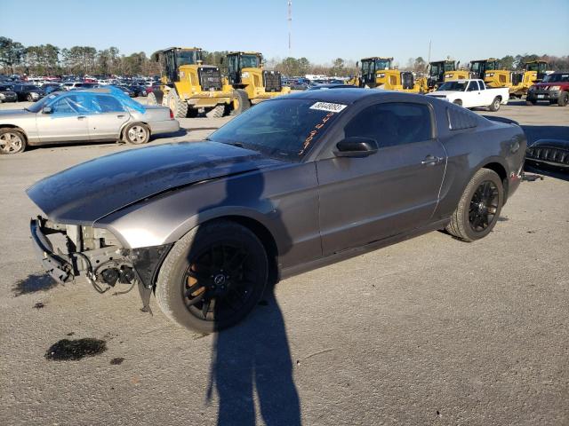 ford all models 2014 1zvbp8am6e5298291