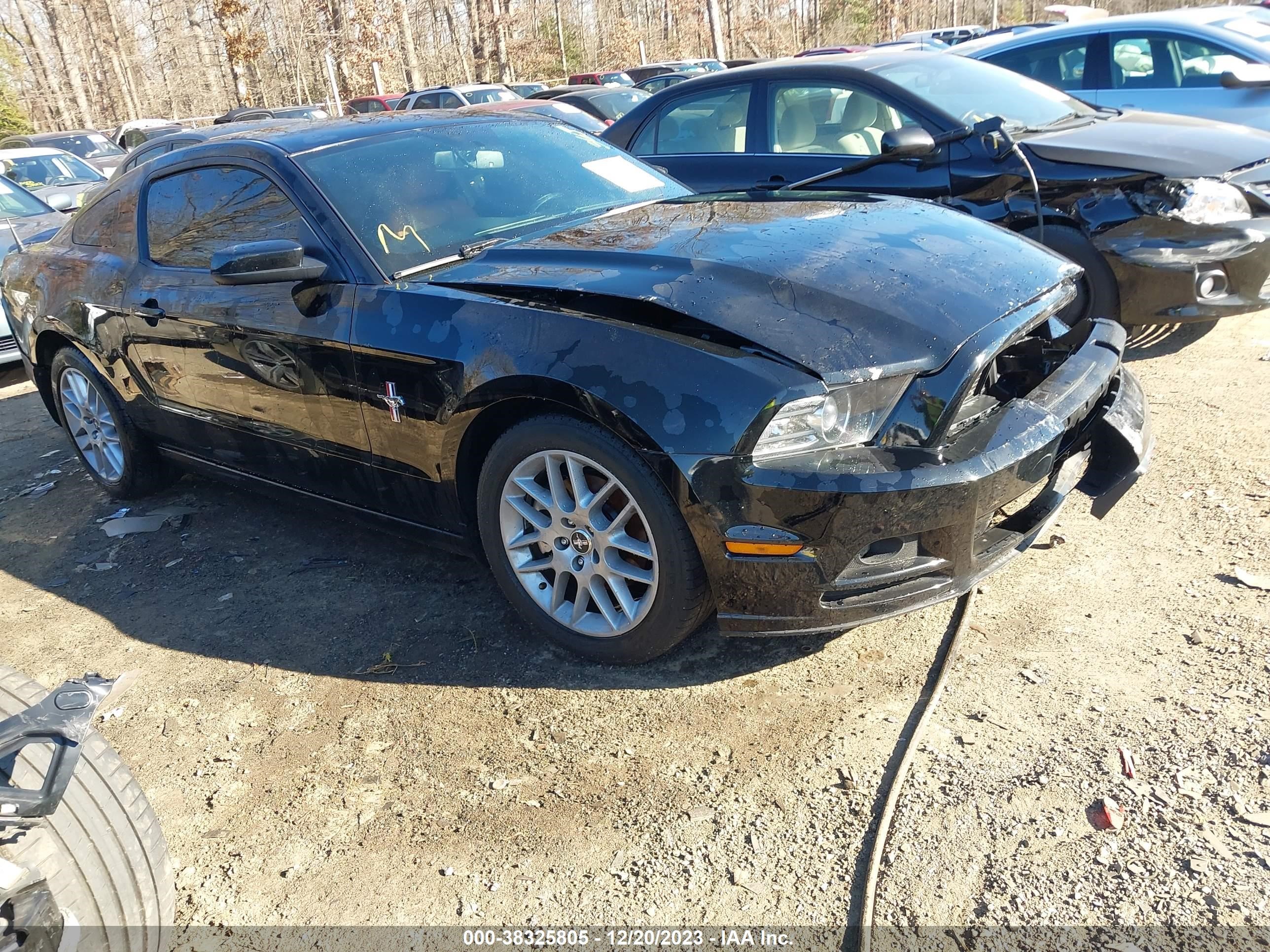 ford mustang 2013 1zvbp8am7d5210606