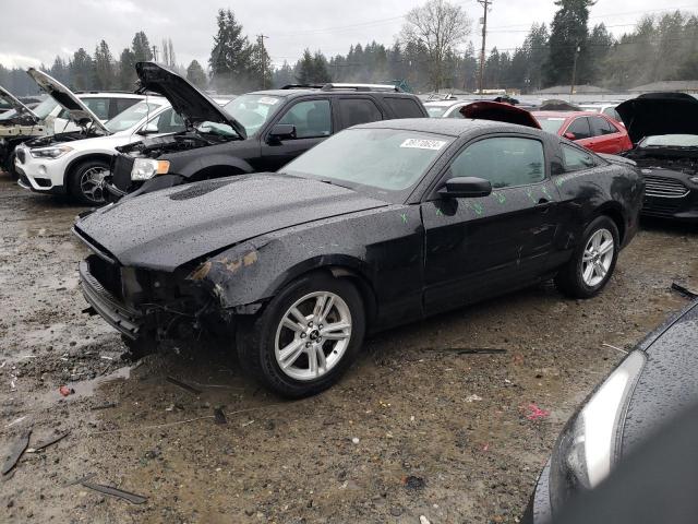 ford mustang 2013 1zvbp8am7d5227230