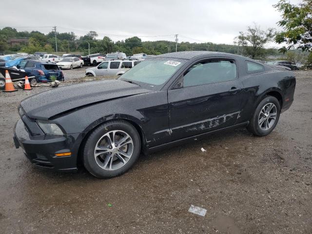 ford mustang 2013 1zvbp8am7d5251690