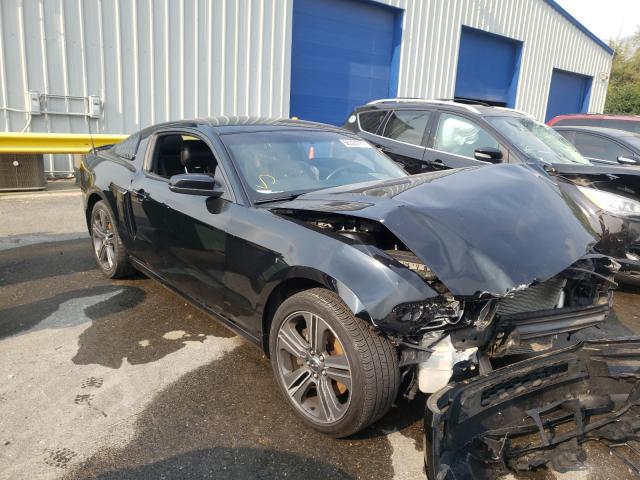 ford mustang 2014 1zvbp8am7e5253098