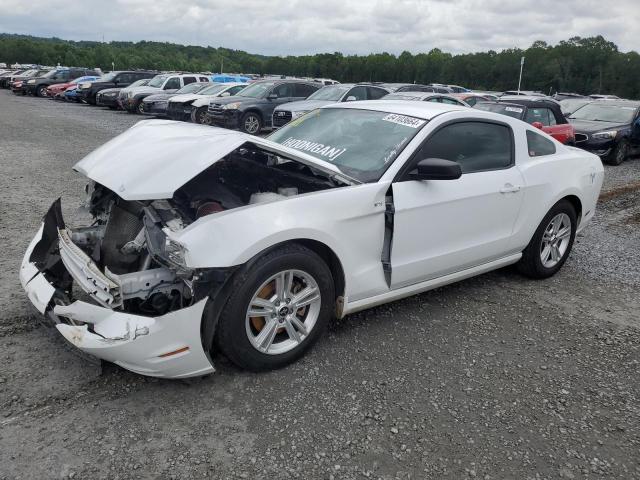 ford mustang 2014 1zvbp8am7e5273139