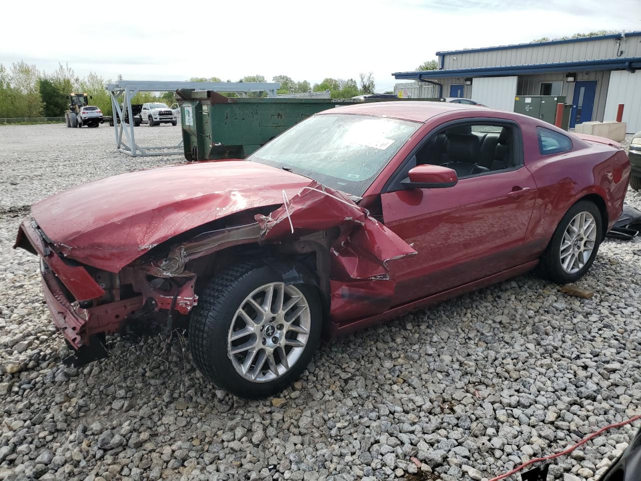 ford mustang 2014 1zvbp8am7e5315812