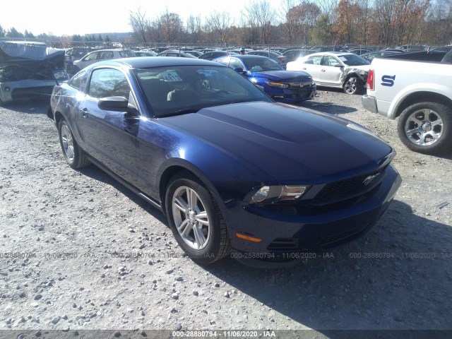 ford mustang 2011 1zvbp8am8b5116344