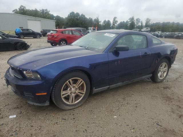 ford mustang 2011 1zvbp8am8b5135816