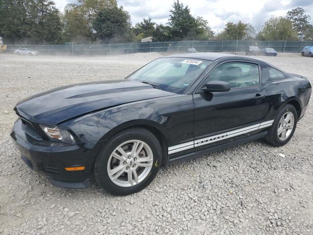 ford mustang 2012 1zvbp8am8c5264589