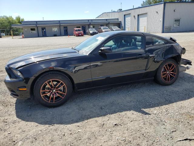 ford mustang 2013 1zvbp8am8d5234042