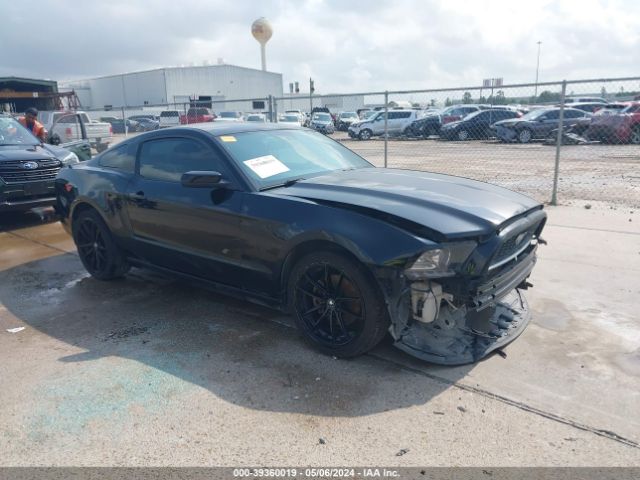 ford mustang 2014 1zvbp8am8e5237556