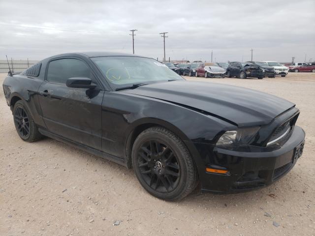 ford mustang 2014 1zvbp8am8e5249903