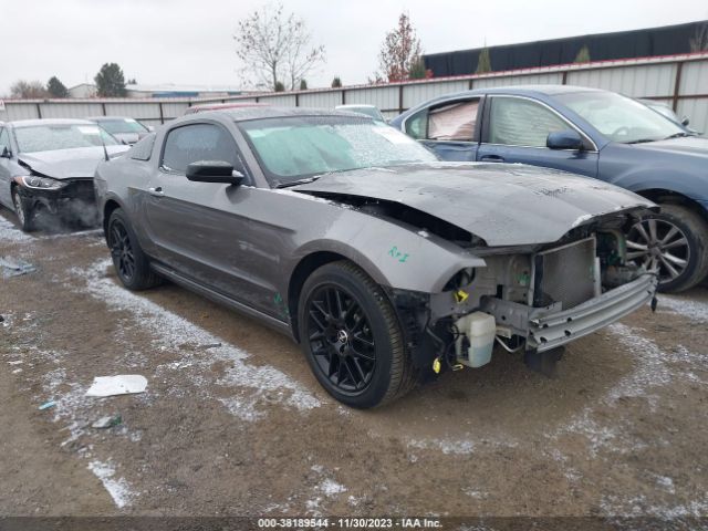 ford mustang 2014 1zvbp8am8e5254633