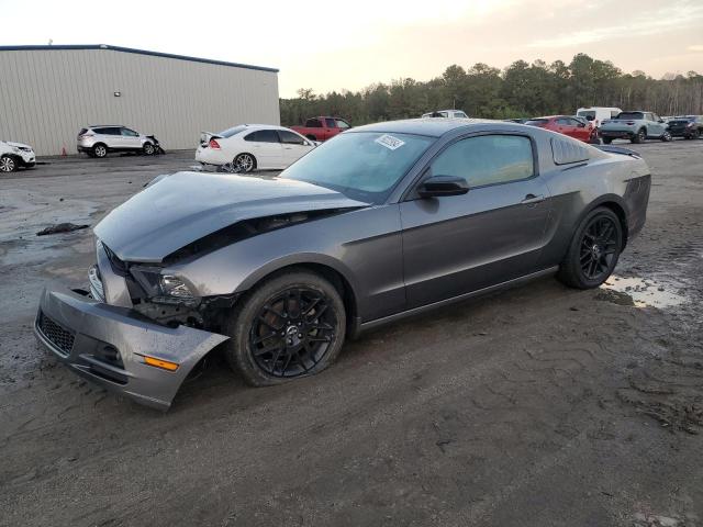 ford mustang 2014 1zvbp8am8e5318671