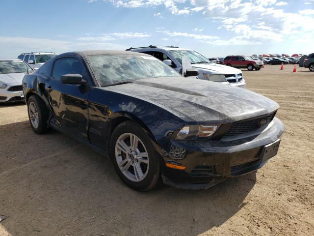 ford mustang 2011 1zvbp8am9b5110780