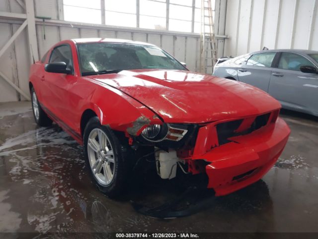 ford mustang 2011 1zvbp8am9b5125988