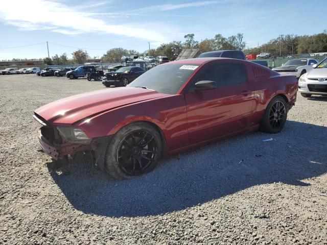 ford mustang 2014 1zvbp8am9e5253605