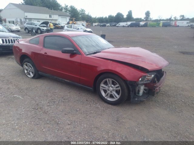 ford mustang 2011 1zvbp8amxb5100758