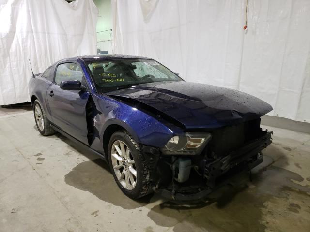 ford mustang 2011 1zvbp8amxb5101019