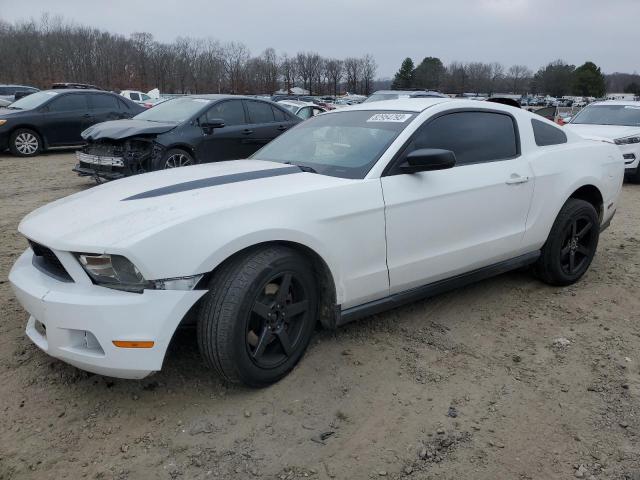 ford mustang 2011 1zvbp8amxb5115549