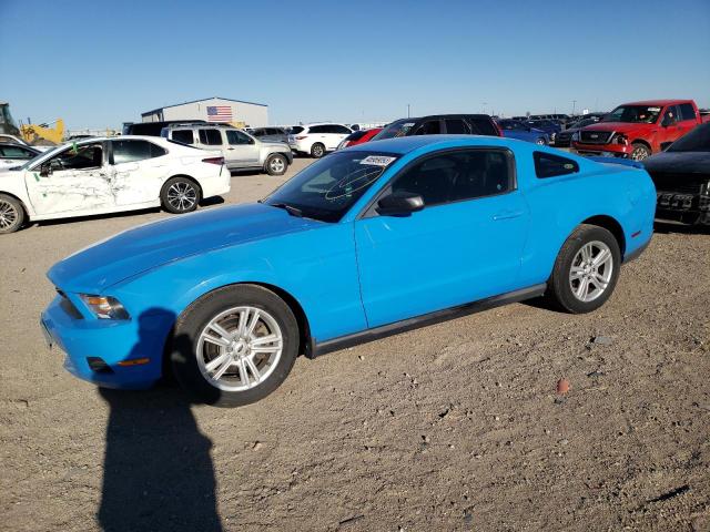 ford mustang 2011 1zvbp8amxb5117303