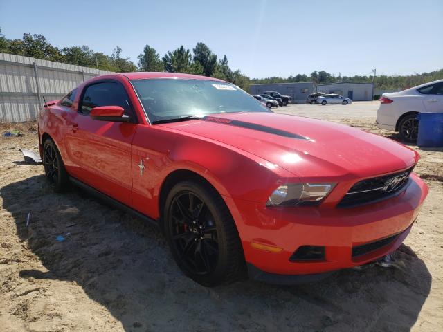 ford mustang 2011 1zvbp8amxb5123960