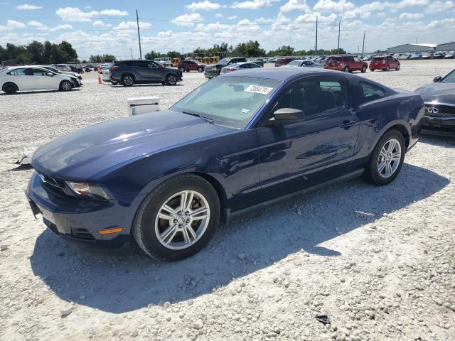 ford mustang 2011 1zvbp8amxb5155937