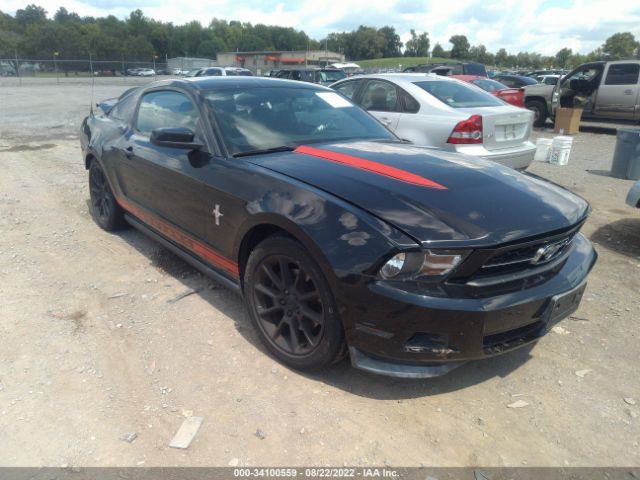 ford mustang 2011 1zvbp8amxb5168509