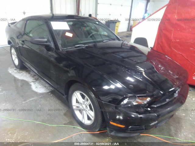 ford mustang 2012 1zvbp8amxc5251293