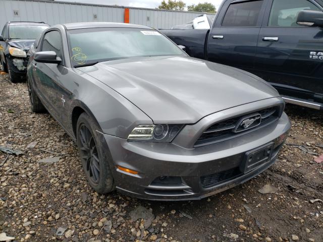 ford mustang 2013 1zvbp8amxd5206582