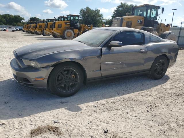 ford mustang 2013 1zvbp8amxd5253806