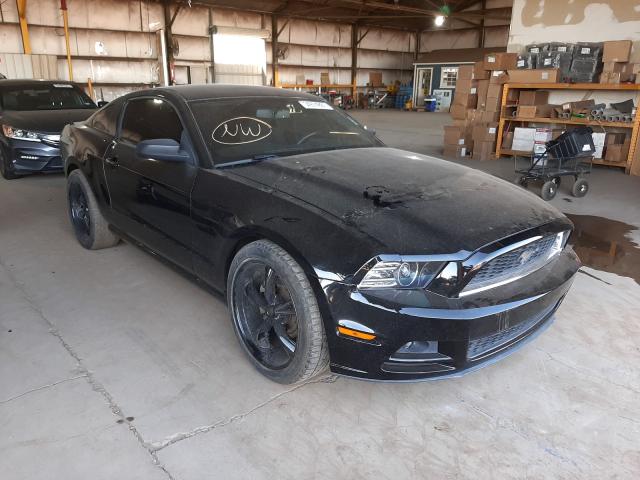 ford mustang 2013 1zvbp8amxd5255443