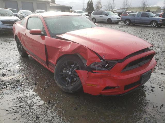 ford mustang 2014 1zvbp8amxe5217955