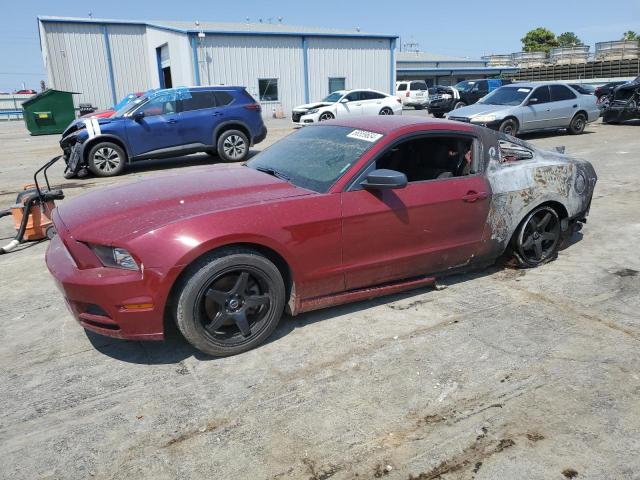 ford mustang 2014 1zvbp8amxe5237476