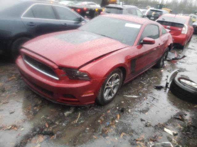 ford mustang 2014 1zvbp8amxe5255735