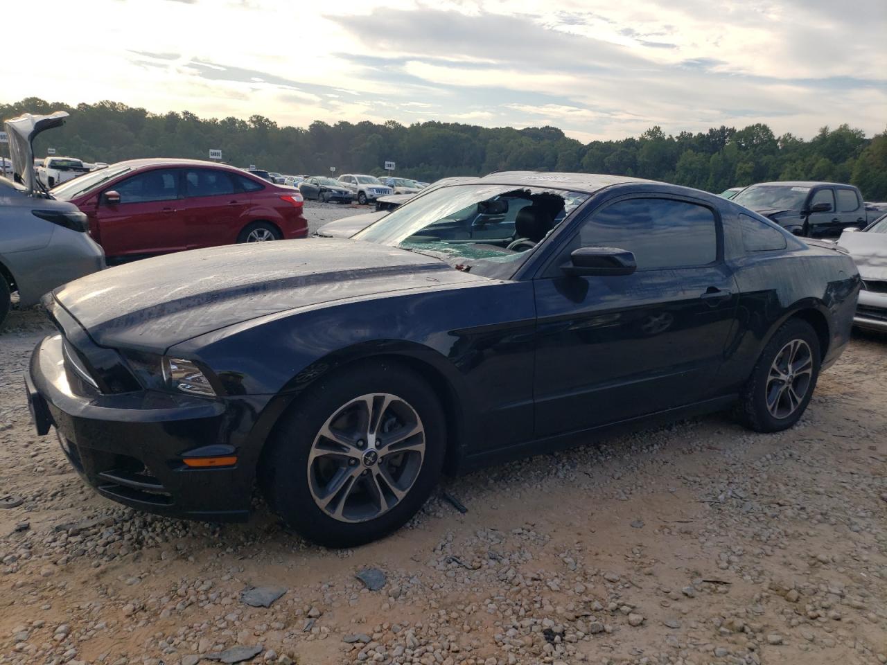 ford mustang 2014 1zvbp8amxe5260272