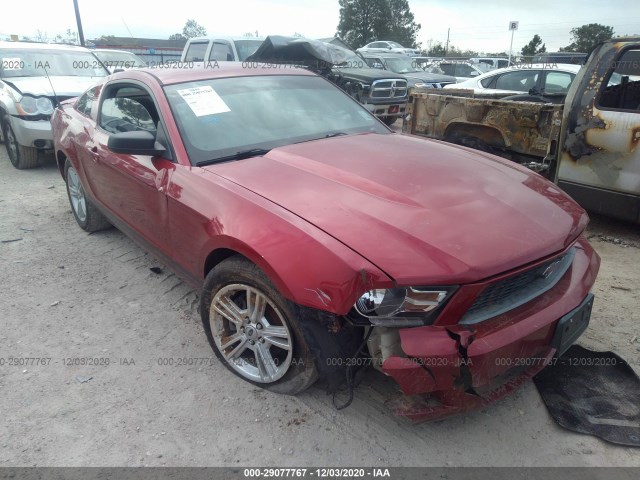 ford mustang 2010 1zvbp8an0a5131833