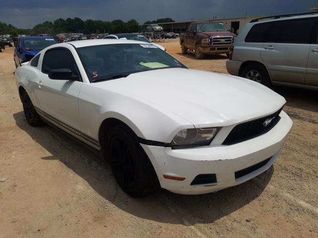 ford mustang 2010 1zvbp8an0a5137907