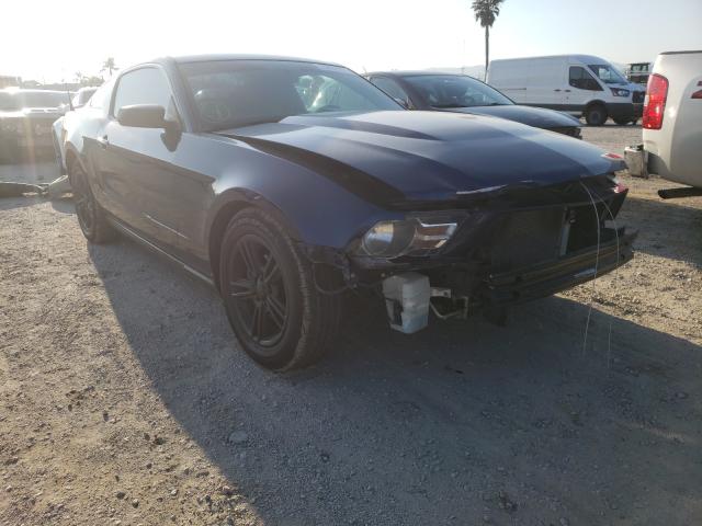 ford mustang 2010 1zvbp8an1a5117794