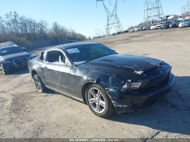 ford mustang 2010 1zvbp8an1a5146809