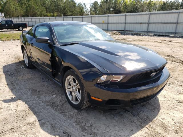 ford mustang gt 2010 1zvbp8an2a5117562