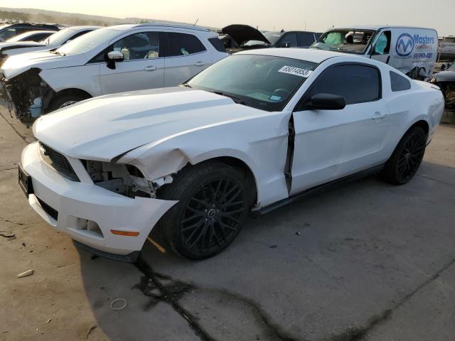 ford mustang 2010 1zvbp8an2a5138511