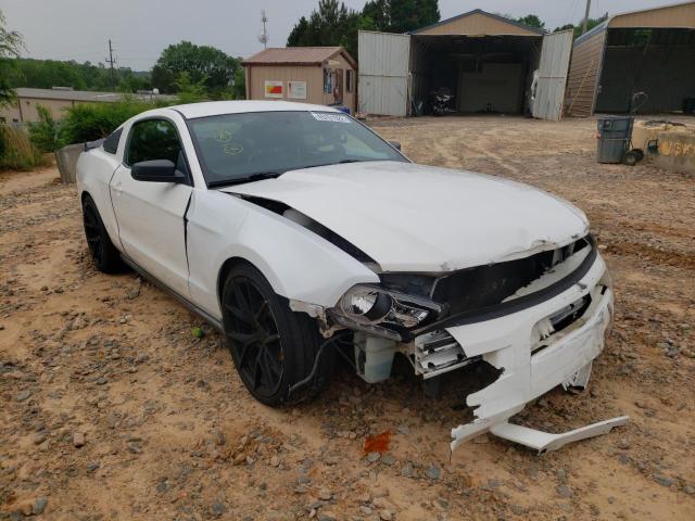 ford mustang 2010 1zvbp8an3a5102441