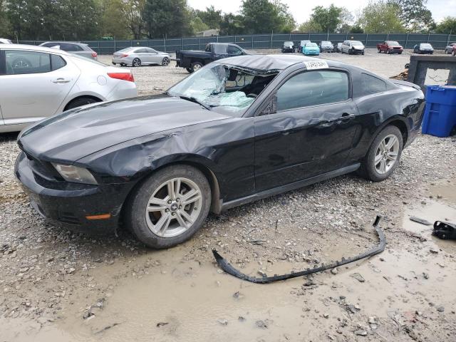 ford mustang 2010 1zvbp8an3a5148335