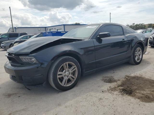 ford mustang 2010 1zvbp8an3a5179827