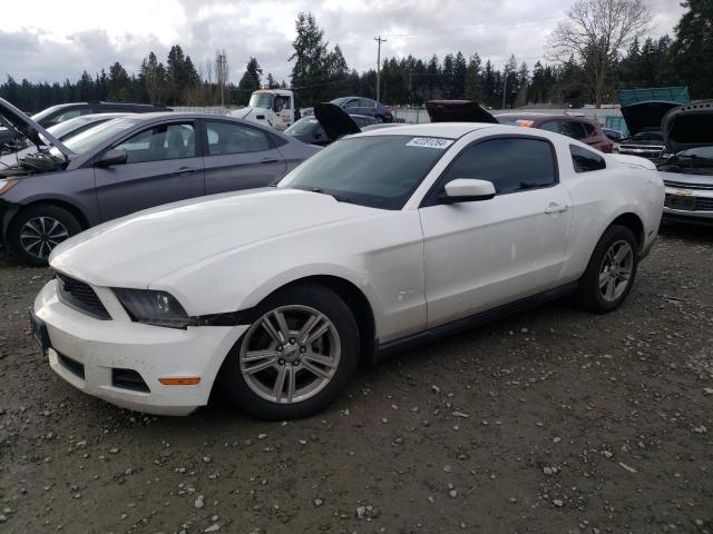 ford mustang 2010 1zvbp8an5a5146862