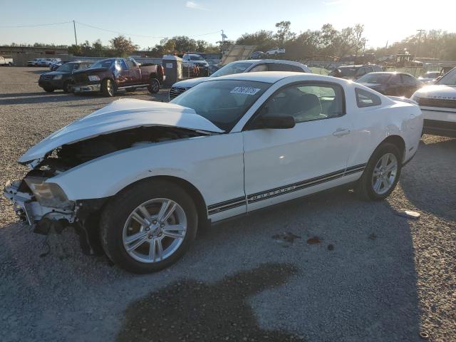 ford mustang 2010 1zvbp8an5a5176704