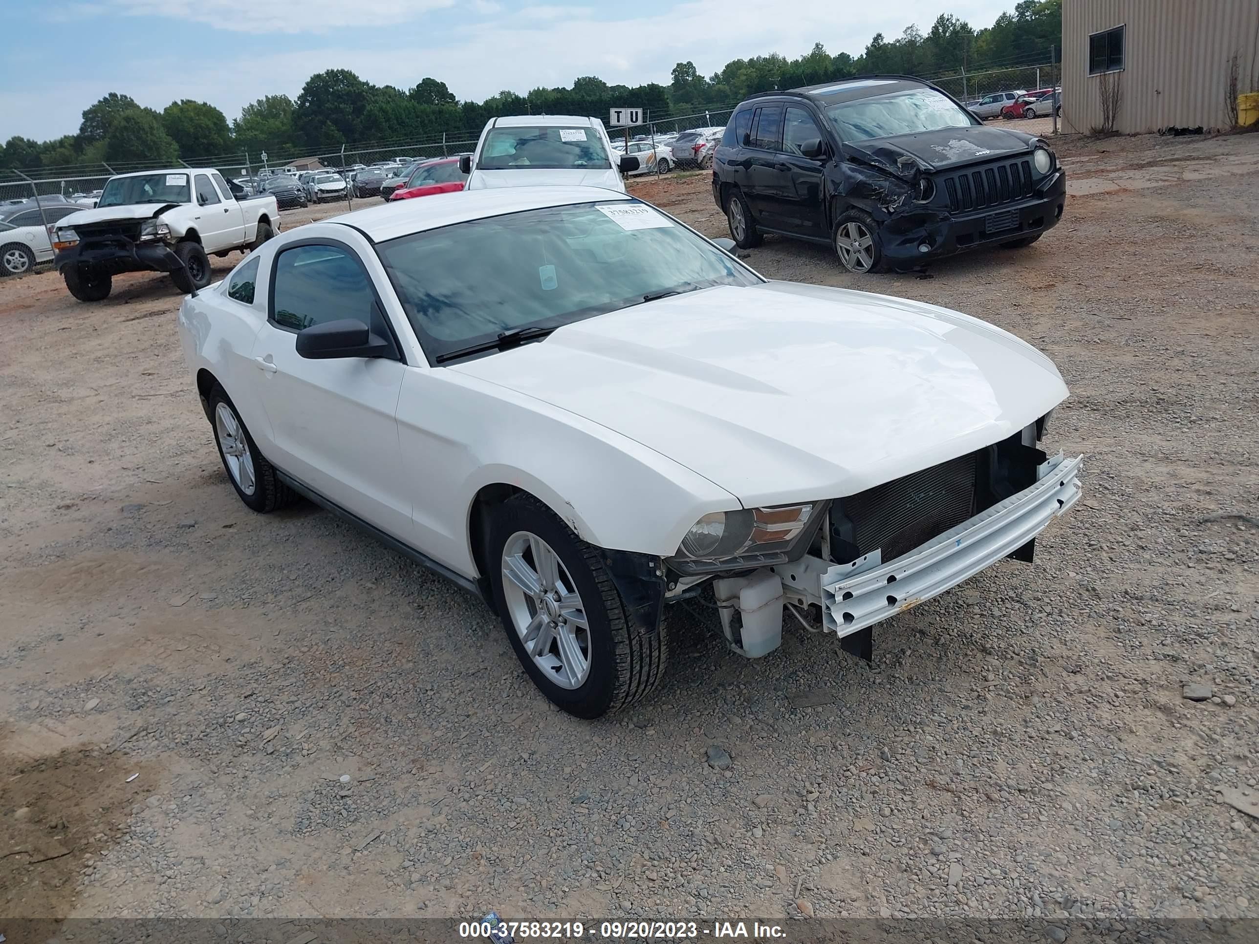 ford mustang 2010 1zvbp8an6a5105611