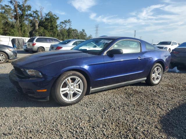 ford mustang 2010 1zvbp8an6a5117578