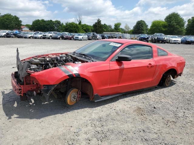 ford mustang 2010 1zvbp8an6a5150516