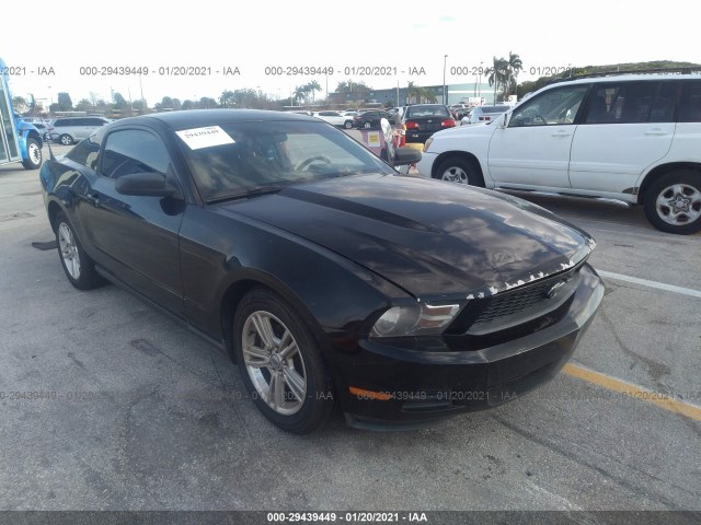 ford mustang 2010 1zvbp8an6a5155988